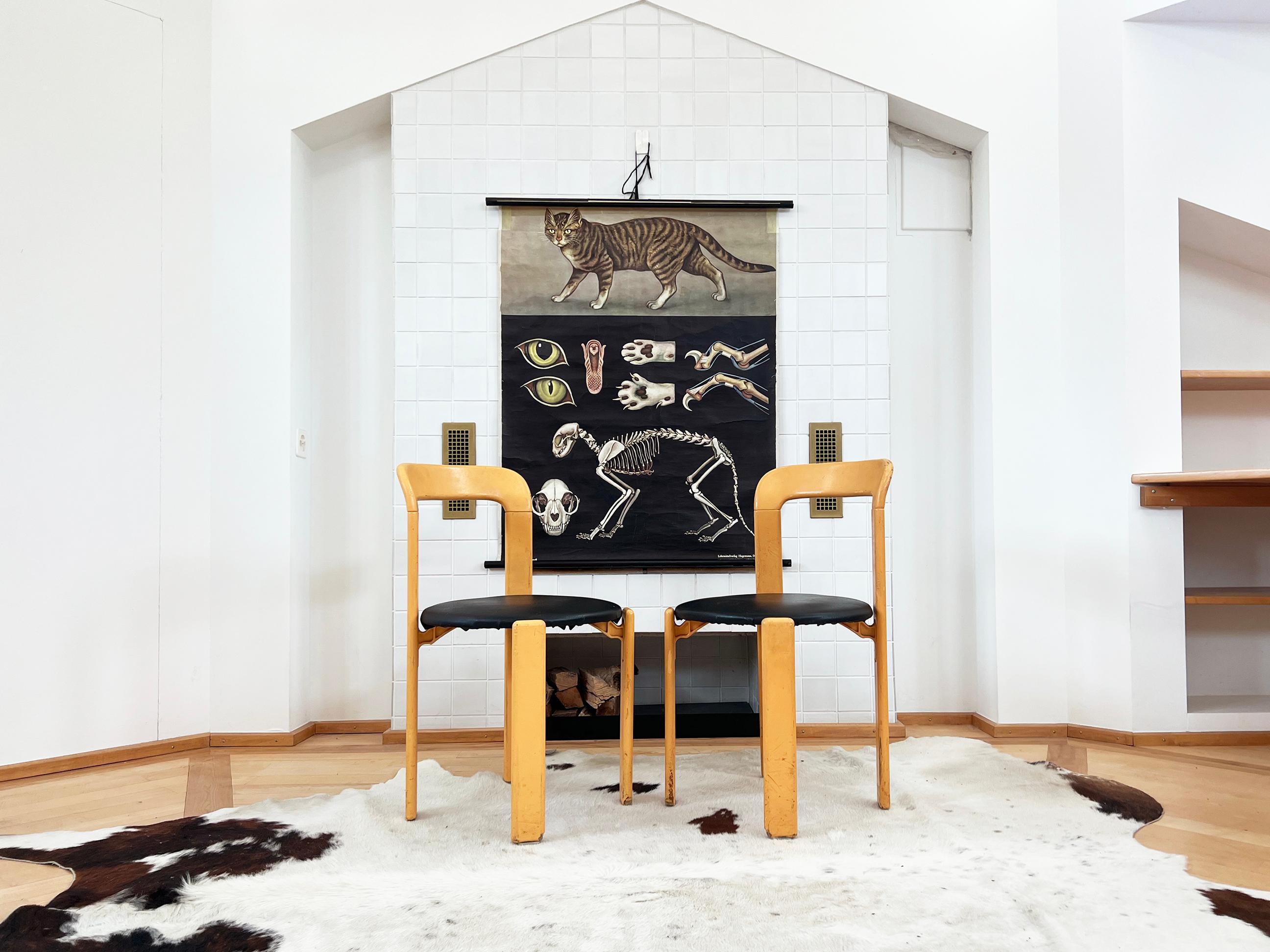 Swiss Postmodern 1970s Pair of 2 Chairs by Bruno Rey for Dietiker, 1970s For Sale