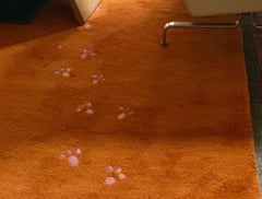 Postmodern Hilton McConnico Toulemonde Bochart Cat Rug, 1980s, France