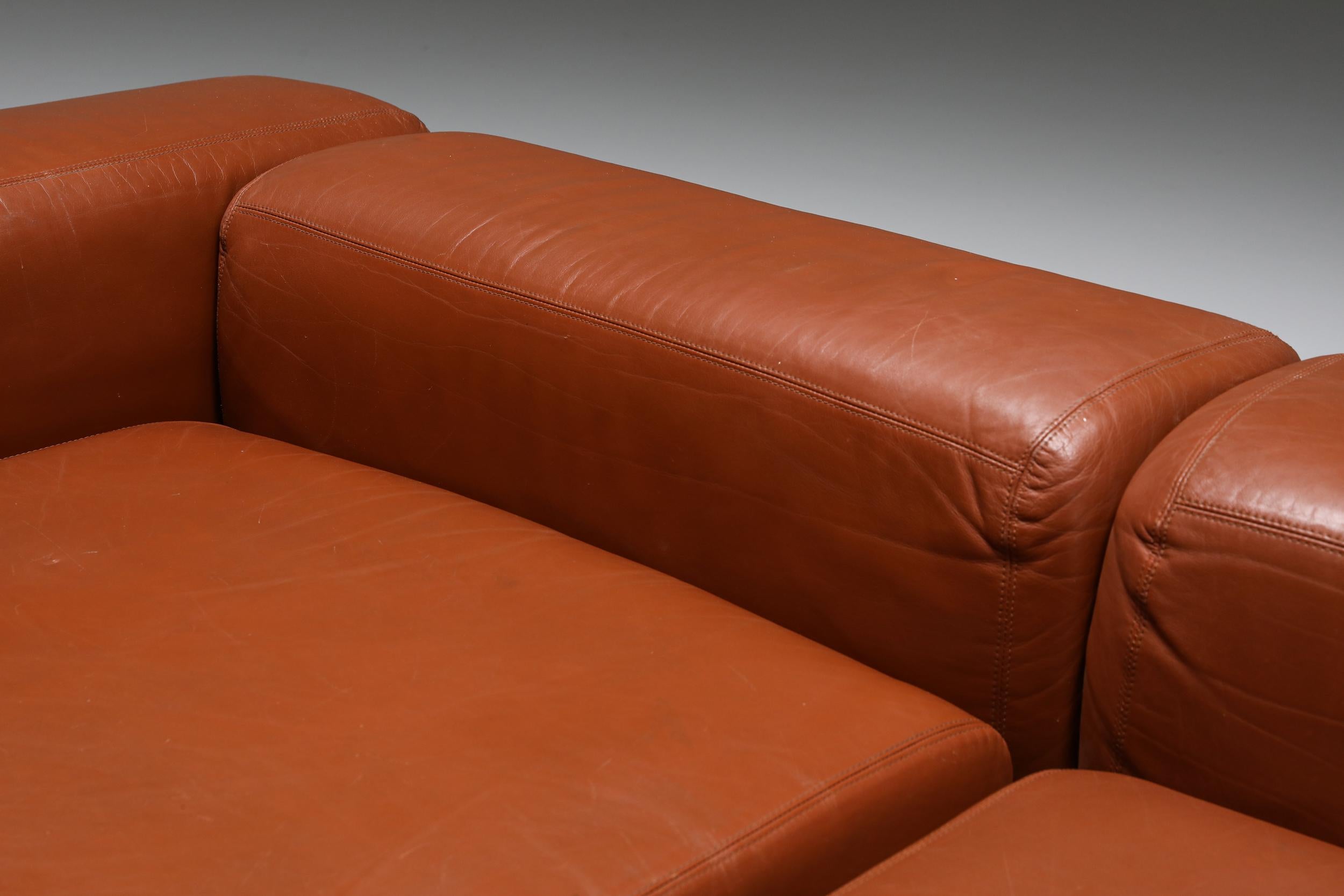 Postmodern Two-Seater Sofa by Tito Agnoli for Cinova in Cognac Leather, 1960's 4