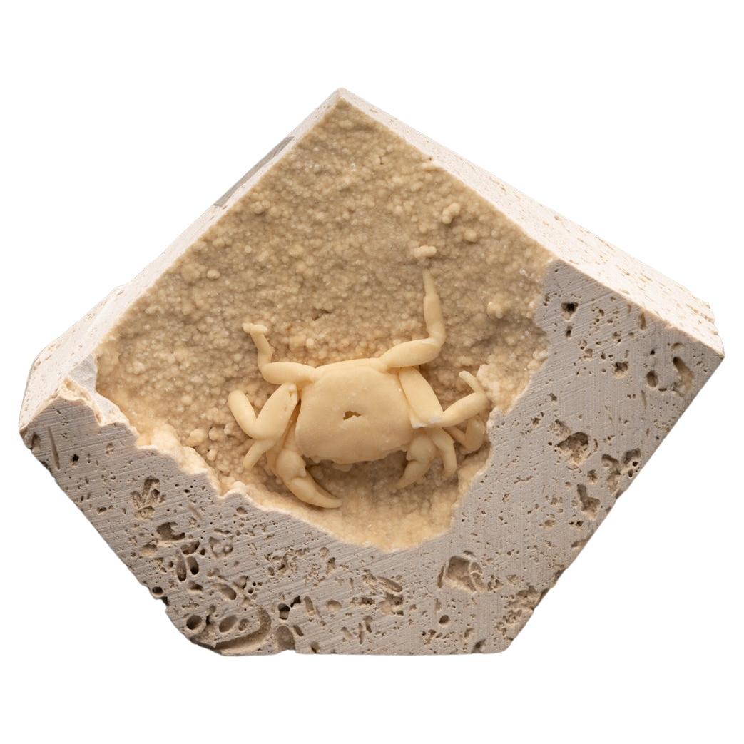 Potamon Crab in Travertine From Turkey // 1.51 Lb. // Pleistocene Epoch