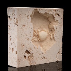 Potamon Crab in Travertine From Turkey // 2.72 Lb. // Pleistocene Epoch