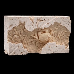 Potamon Crab in Travertine From Turkey // 2.77 Lb. // Pleistocene Epoch