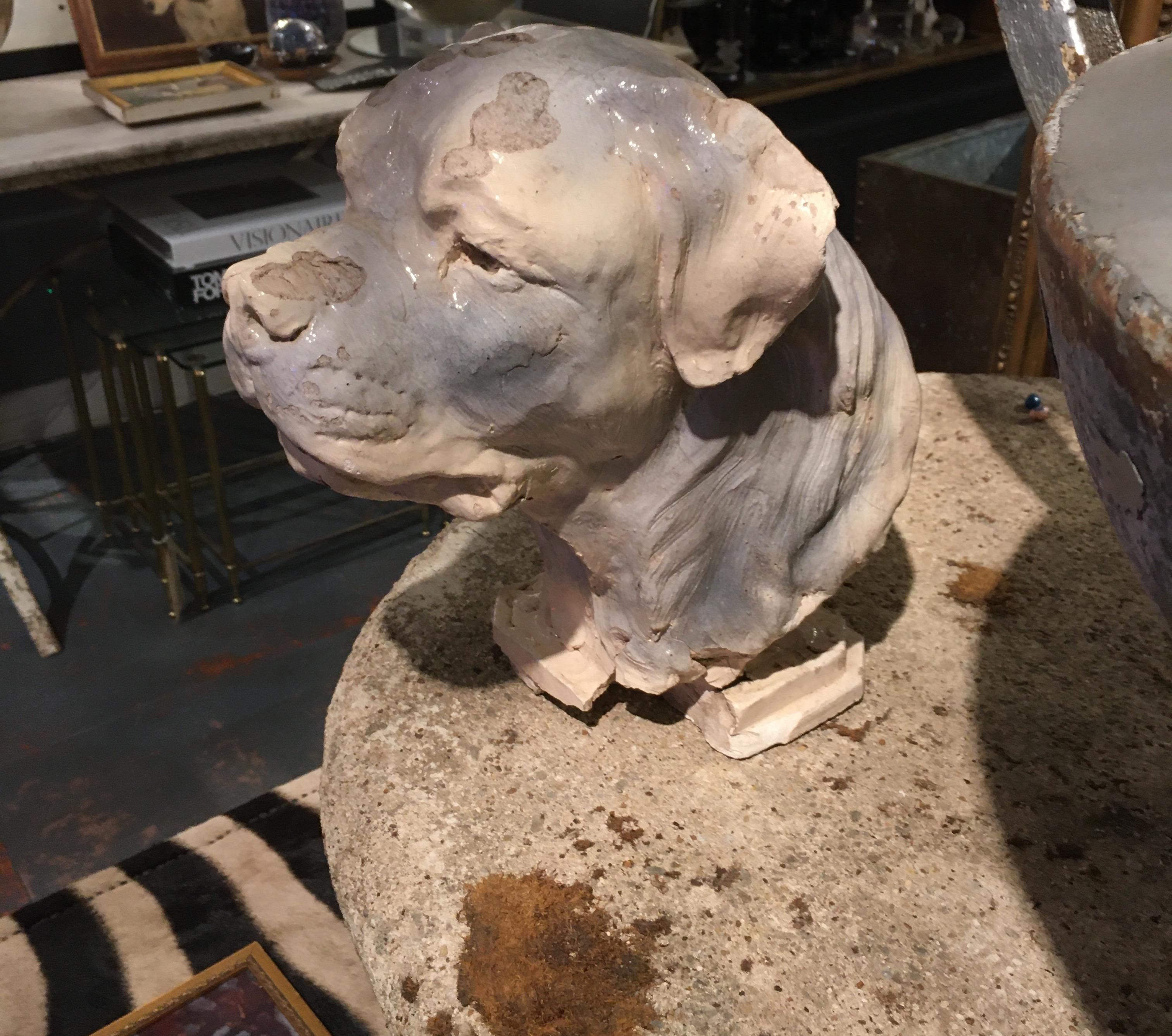 Pottery Dog Sculpture 5