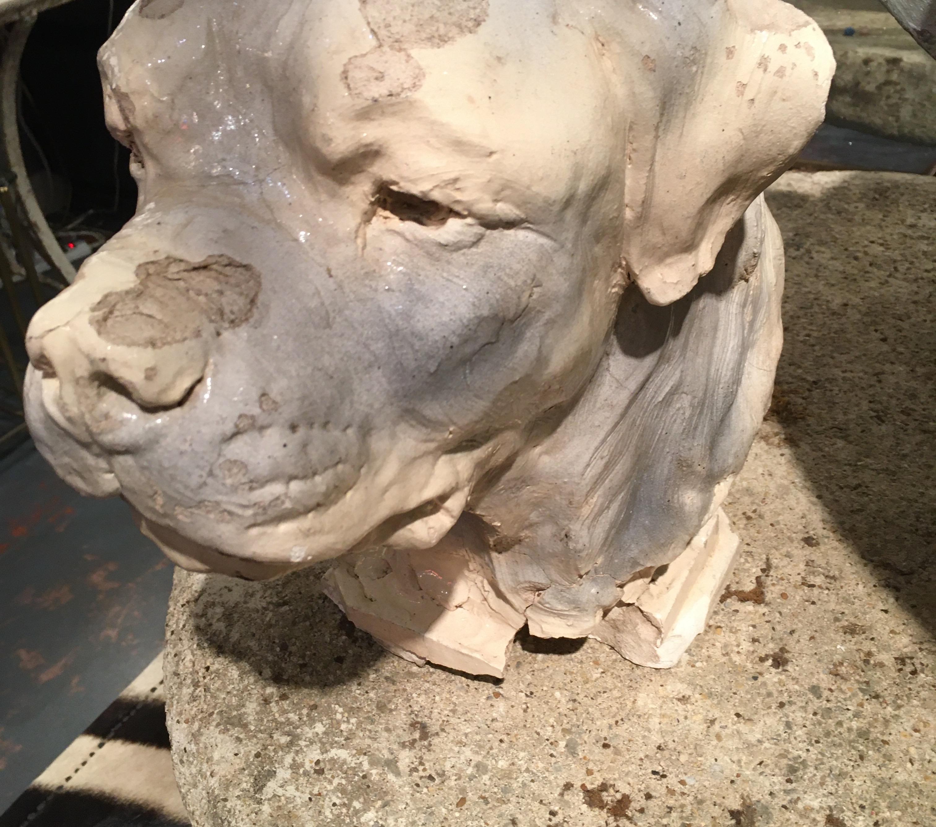 Pottery Dog Sculpture 7