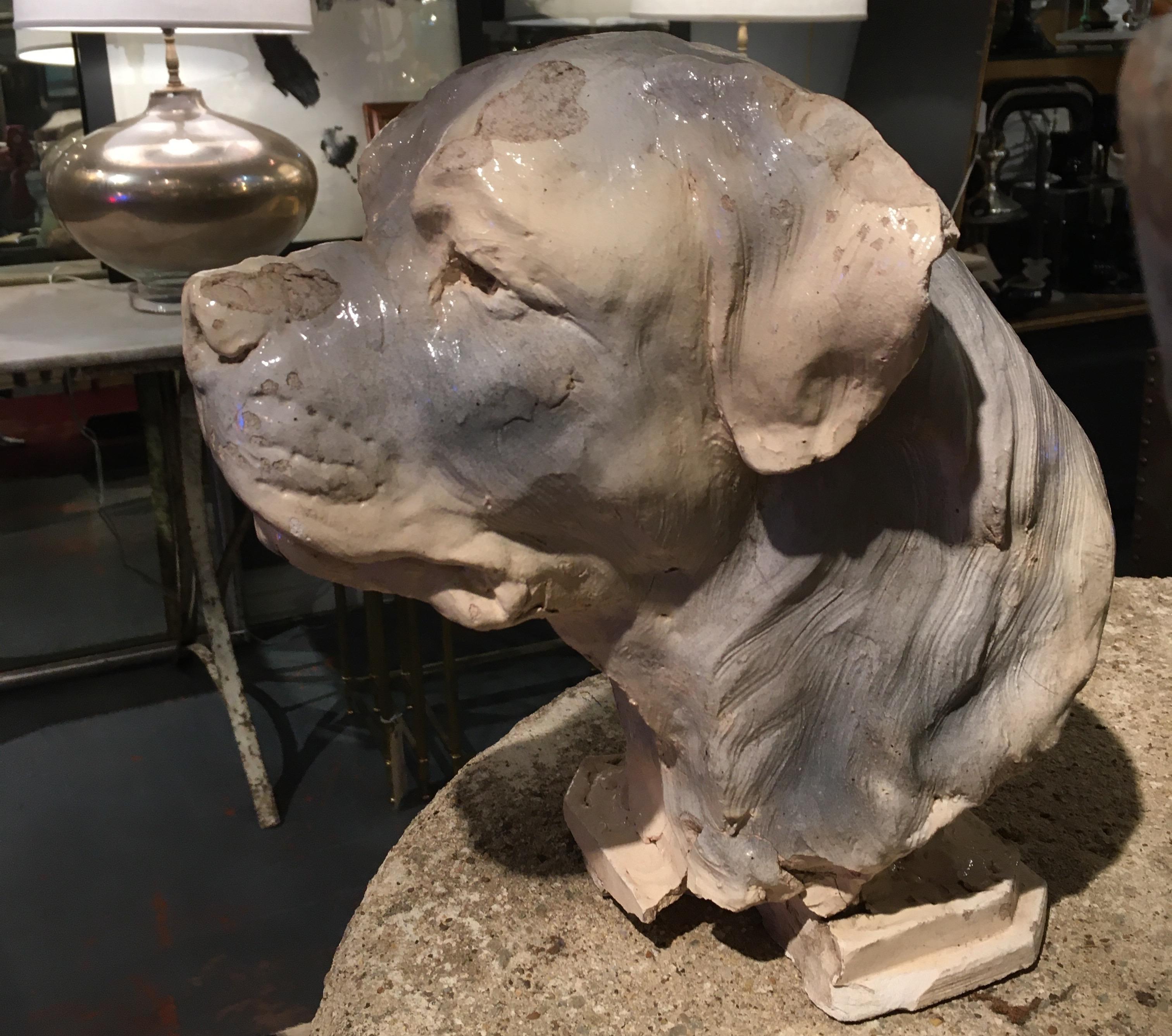 Very handsome bust of dog. Sits as found, sculpture is not mounted. Great color and form, age and patina add to the charm.