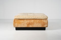 Pouf pair by Saporiti