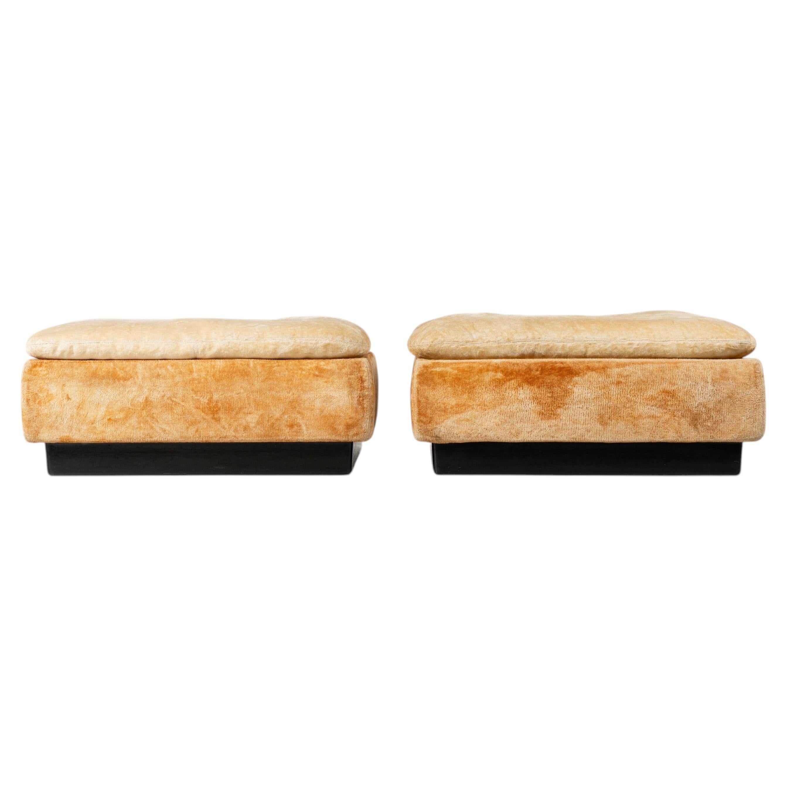 Pouf pair by Saporiti