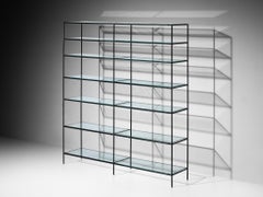 Poul Cadovius Wall Unit in Metal and Glass