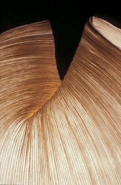 Poul Poul paper table lamp by Ingo Maurer