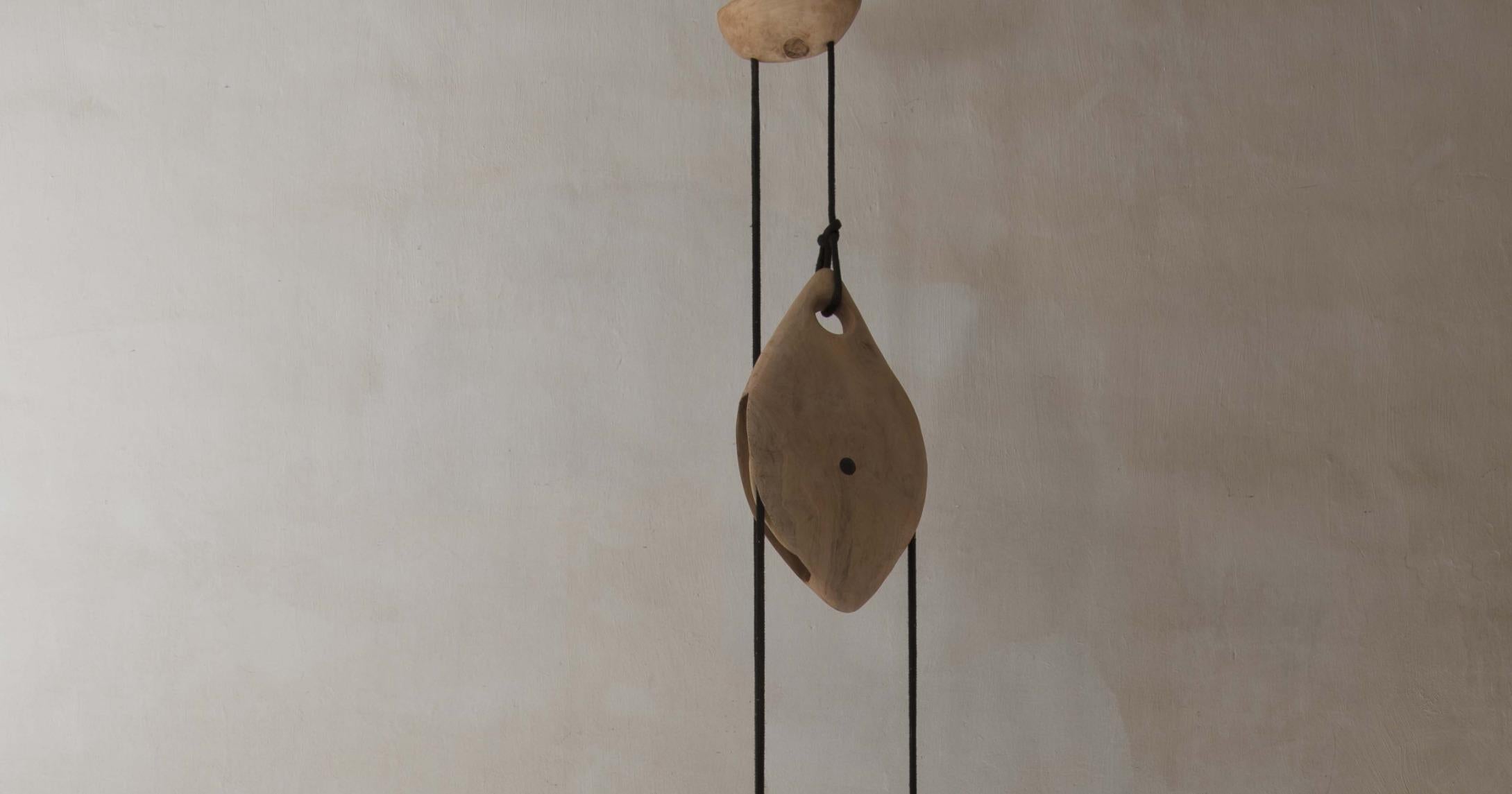 Metal Suspended Sculptural Pendant Lamp, Organic Wood & Glass by Jérôme Pereira For Sale