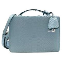 Powder Blue Python Small Grace Box Bag