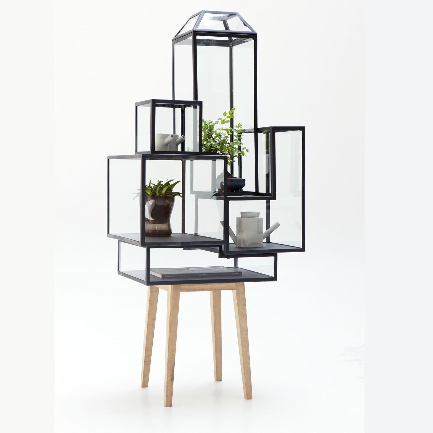 Armario decorativo de acero con revestimiento de polvo, cristal y madera de roble 2 by JSPR en venta 4