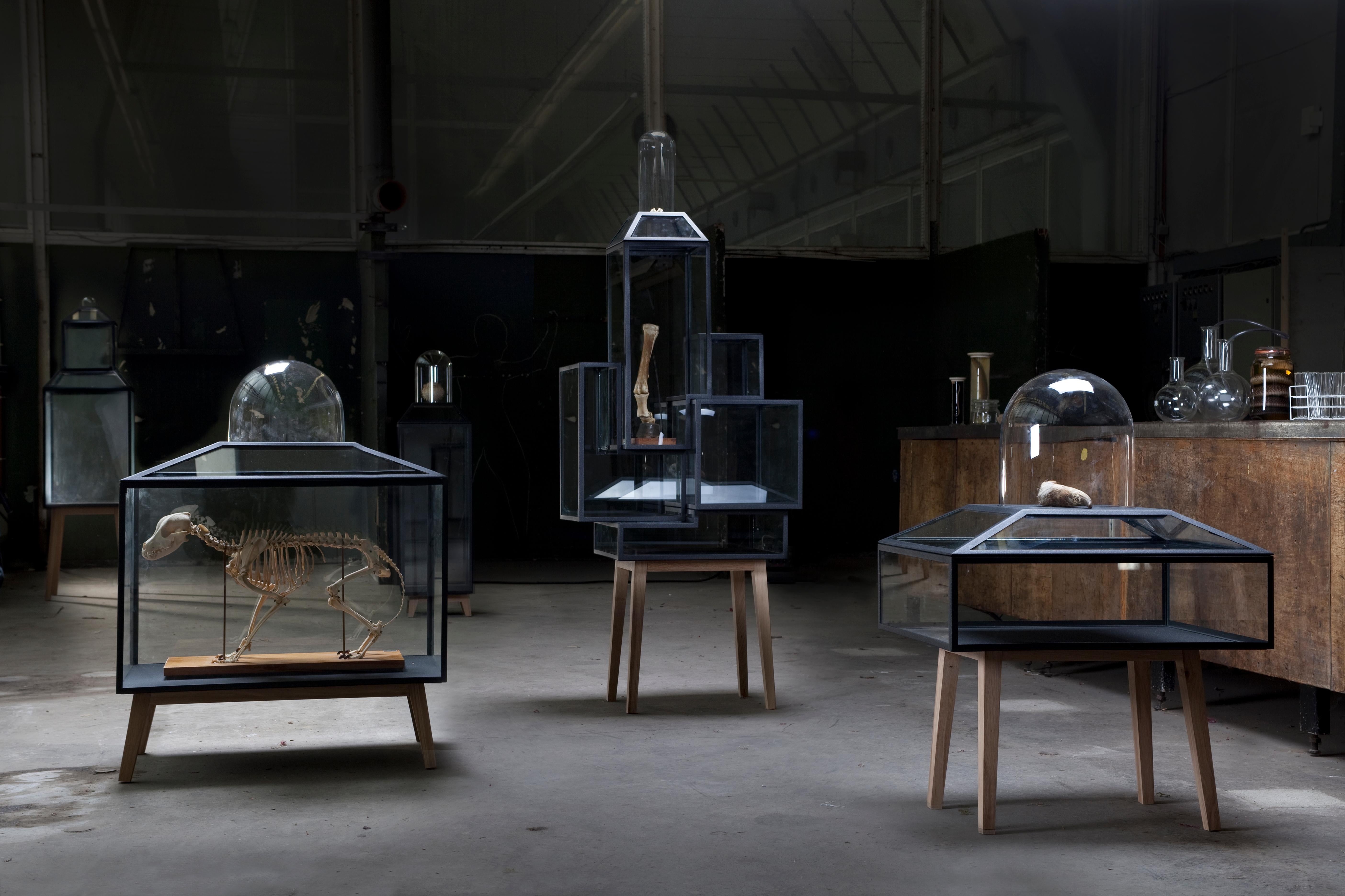 Armario decorativo de acero con revestimiento de polvo, cristal y madera de roble 2 by JSPR Holandés en venta