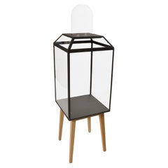 Powder Coated Steel, Glass And Oak Wood Decorative Cabinet 2 by JSPR