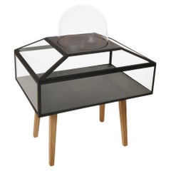 Powder Coated Steel, Glass And Oak Wood Decorative Cabinet 4 by JSPR