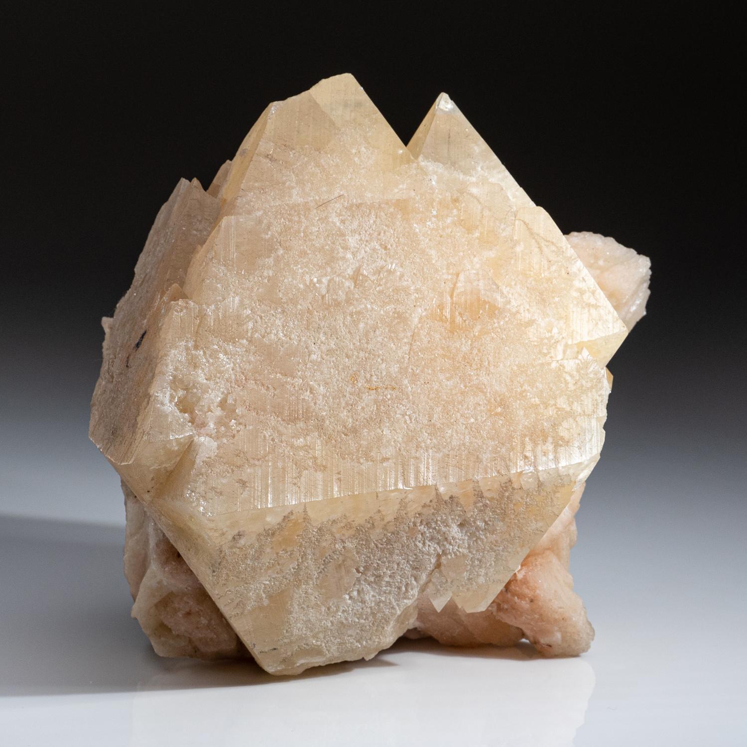 Powellite Crystal on Stilbite From Jalgaon, Maharashtra State, India.

Huge pyramidal crystal of translucent brown powellite with lustrous striated faces on a matrix of pink stilbite crystals.

Measures: Weight: 7.15 lbs, 5 x 3 x 6 inches.