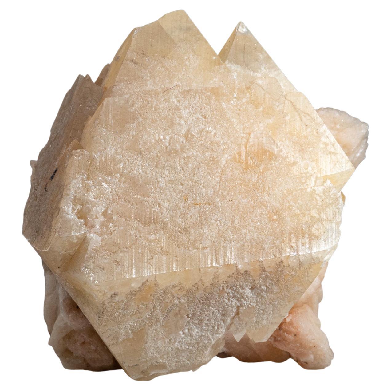 Powellite et cristal minéral sur pierre de taille écaille d'Inde
