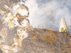 Impression numérique encadrée Diptyque de jardin Powells encadrée d'Edward McHugh