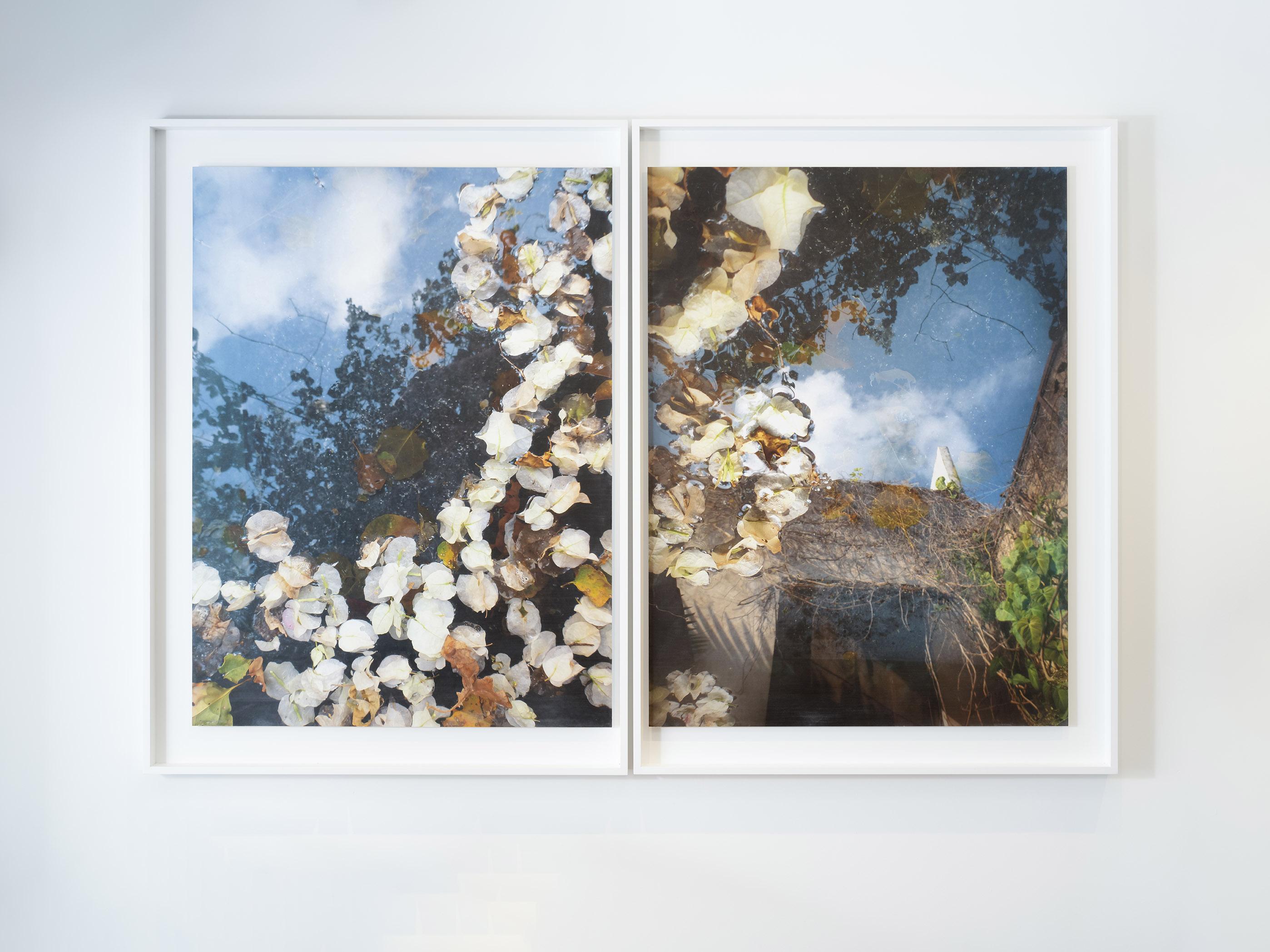 Other Powells Garden Diptych Framed Digital Print by Edward McHugh For Sale