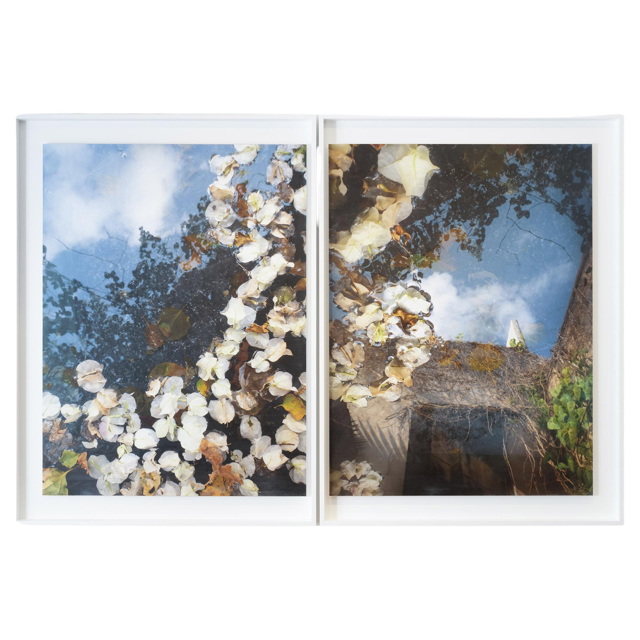 Powells Garden Diptych Framed Digital Print by Edward McHugh