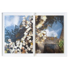 Powells Garden Diptych Framed Digital Print by Edward McHugh