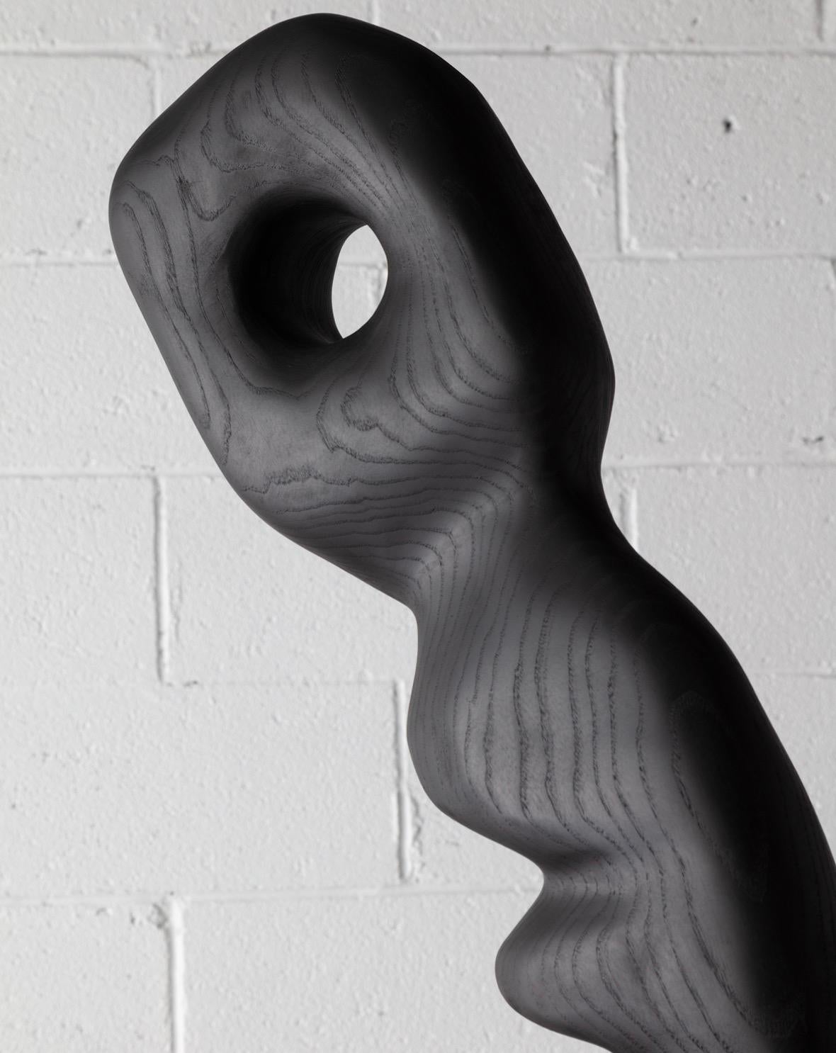 Contemporary Organic Hand Carved Oiled Black Walnut Sculpture by Casey McCafferty For Sale