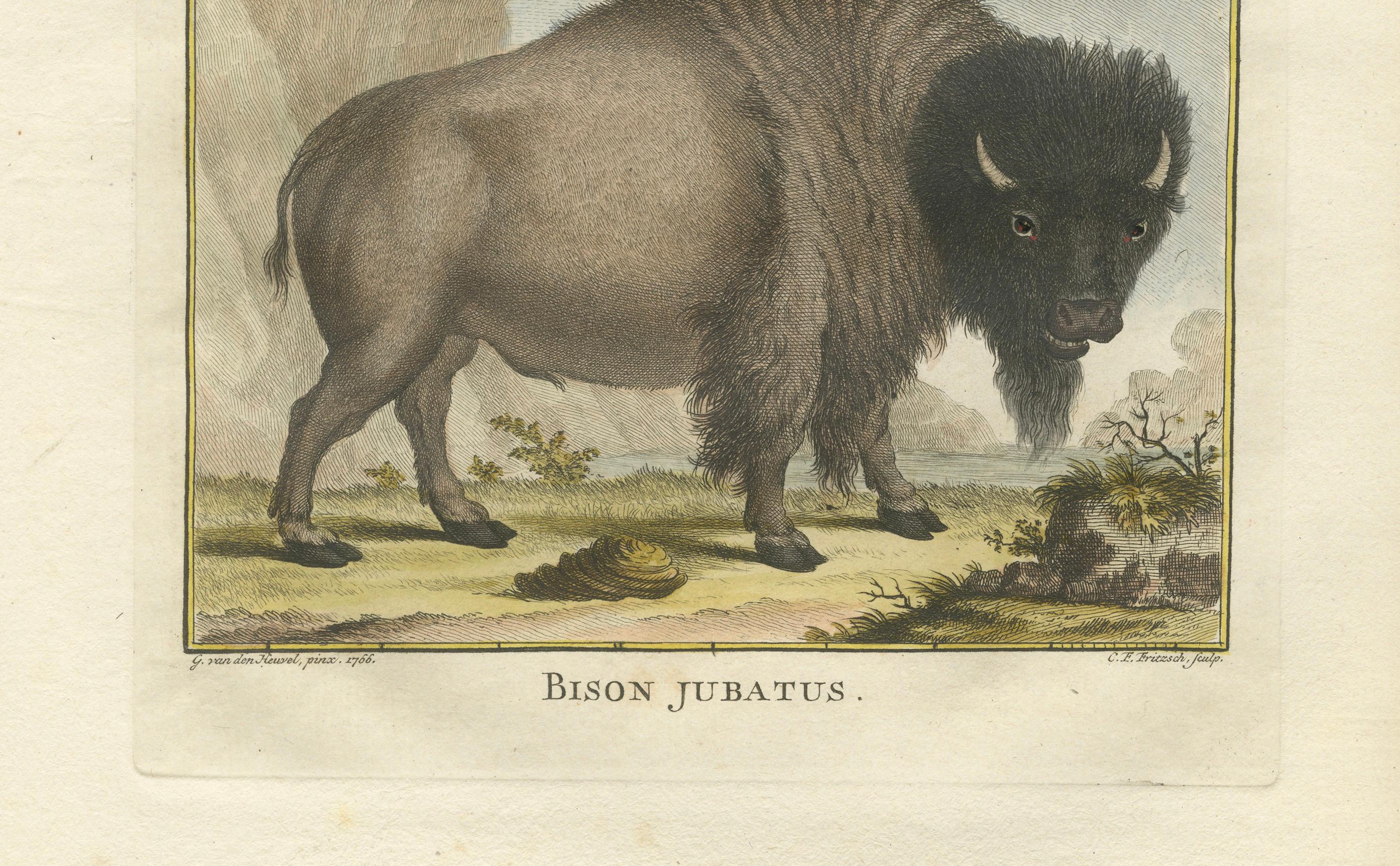 Mächtiges Wisent-Porträt aus dem 18. Jahrhundert - handkolorierter Buffon-Druck (Niederländisch) im Angebot