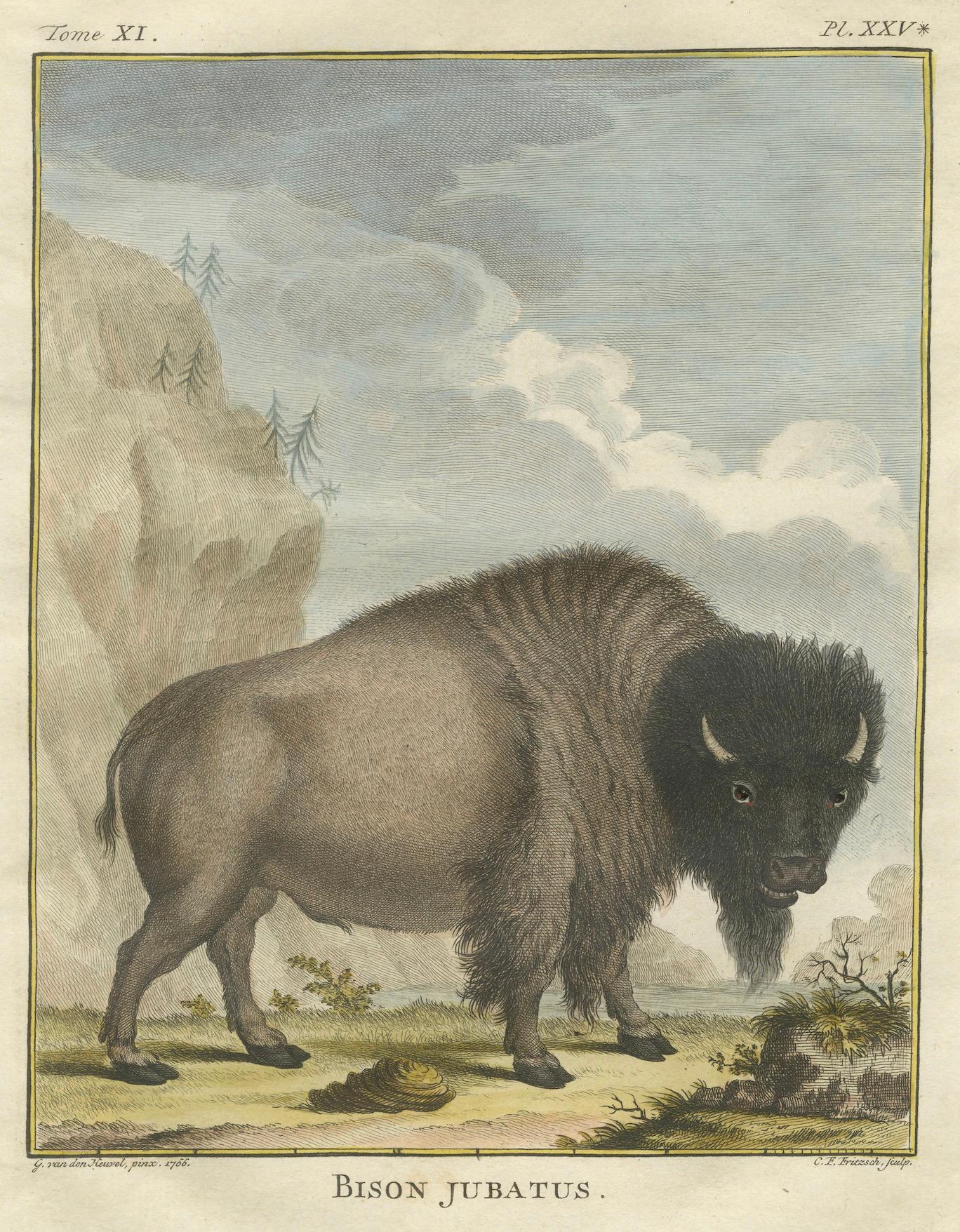 Mächtiges Wisent-Porträt aus dem 18. Jahrhundert - handkolorierter Buffon-Druck im Angebot 1