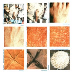 Die Macht der Zehn: Ein Daumenkino, Charles and Ray Eames, Coffee Table Art Book