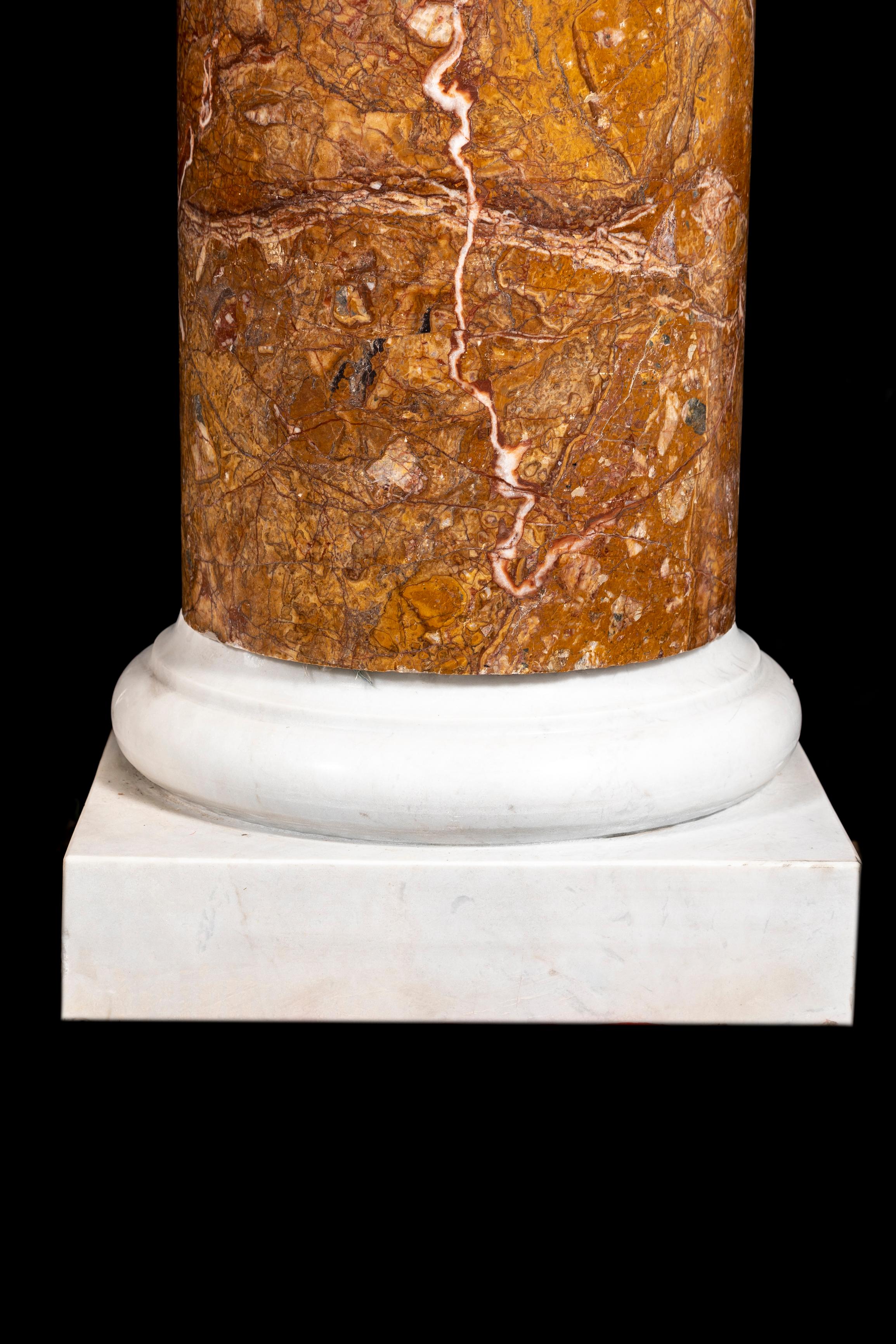 Pr. 19 C. Italienische Siena (Orange/Gelb) Marmor Pedestals auf Carrara Marmor Sockeln im Angebot 1