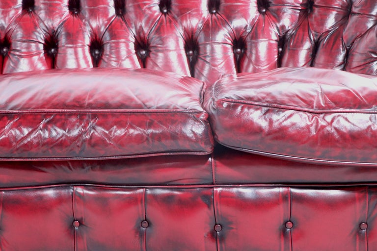 Pr. C Shape Tufted Leather Chesterfield Sofas For Sale 1