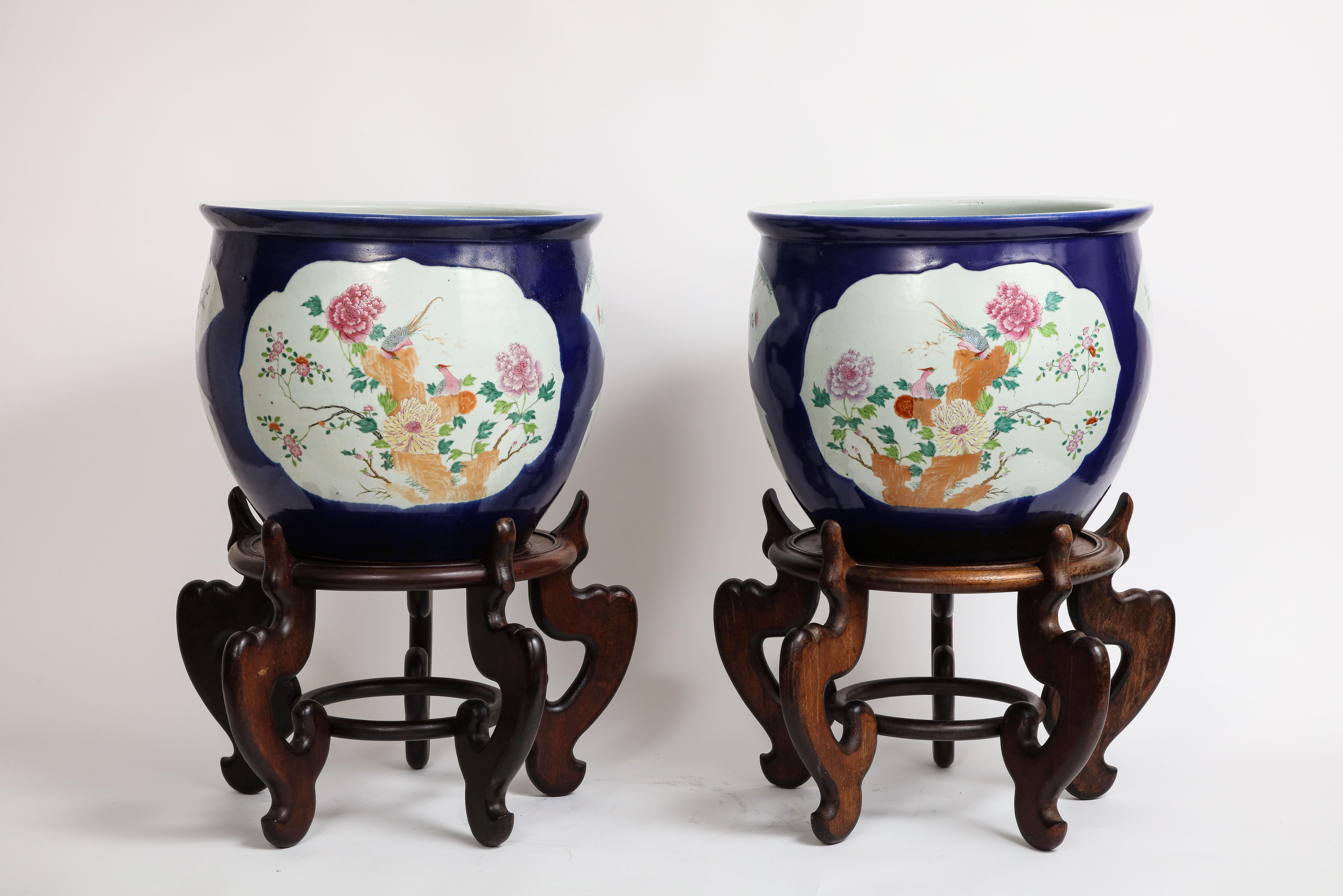 Hand-Carved Pair. Chinese Bleu Poudre Ground Porcelain Double Cartouche Planters Wood Stands