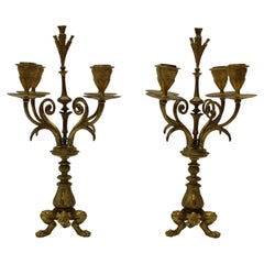 Antique Pr Four Arm Gilded Candlesticks, 19th Century with Lion Paw Feet