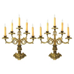 Pr. Candelabro de 5 luces de bronce dorado estilo gótico-neoclásico francés del siglo XIX