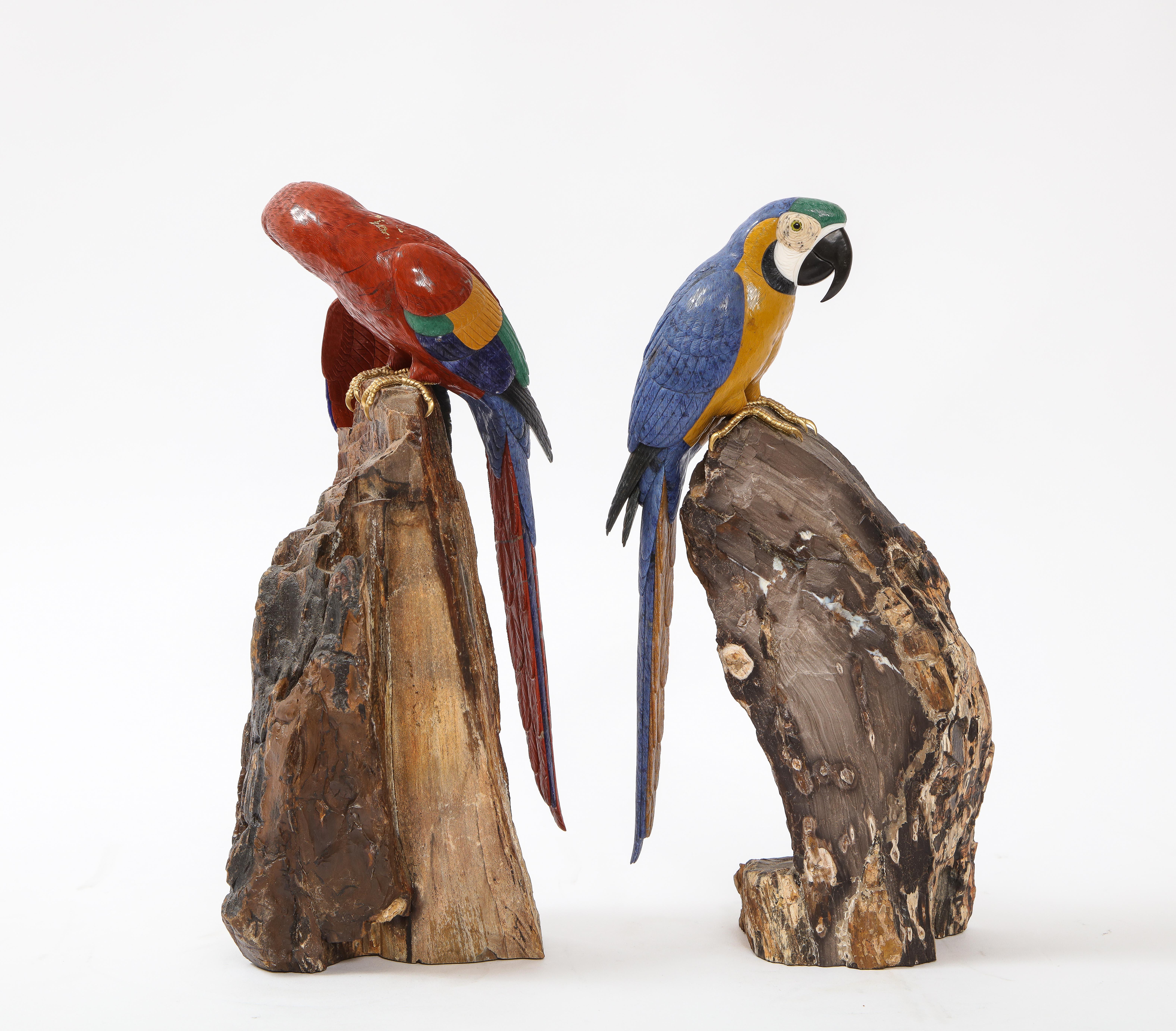 jeweled macaw