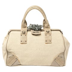 Prada Beige Canvas Mistolino Cluster Crystal Embellished Frame Bag