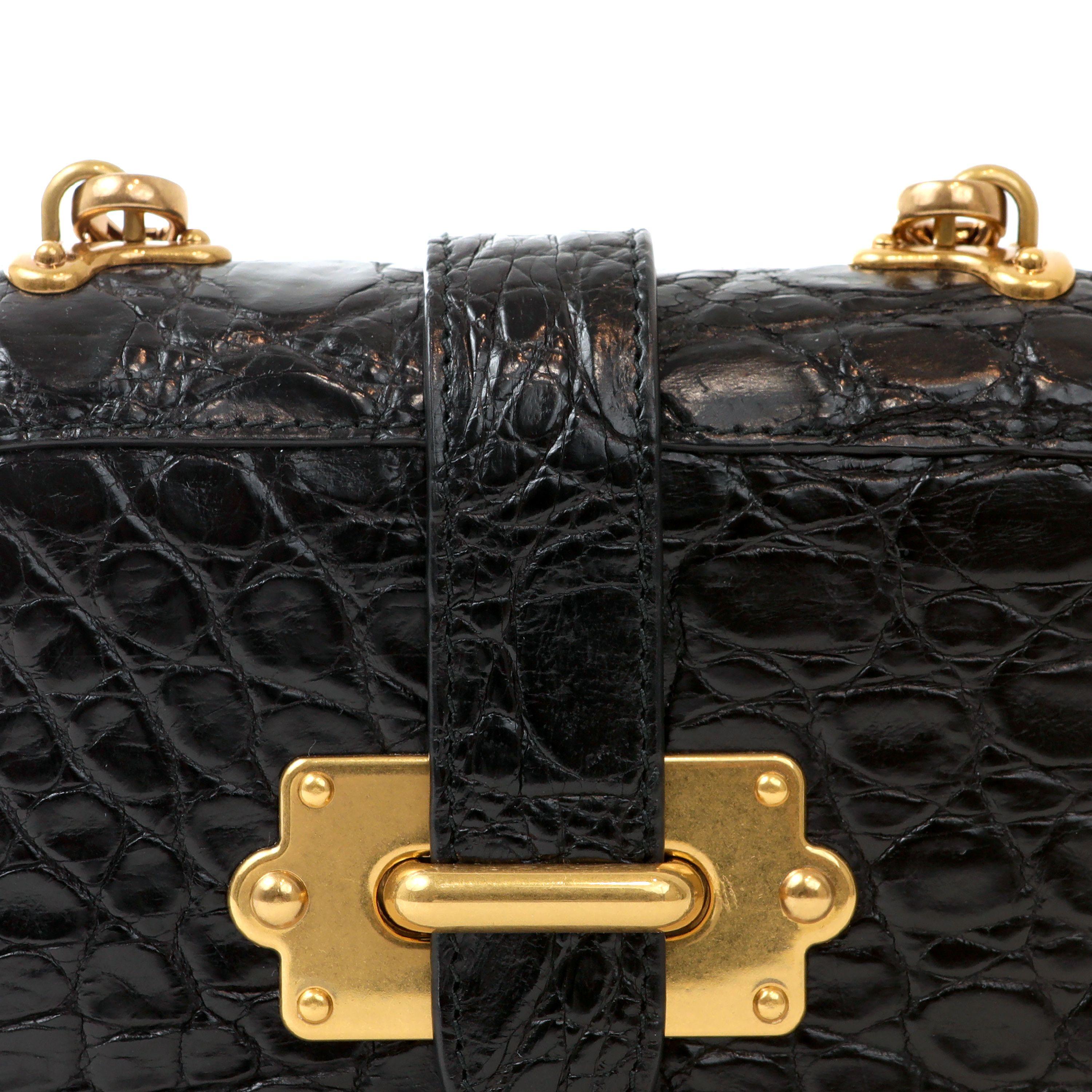 Cet authentique sac Micro Cahier en crocodile noir de Prada est en parfait état.  Crocodile noir et accessoires dorés.  Longue chaîne en métal doré. Sac à poussière inclus.
Défilé 


PBF 13770