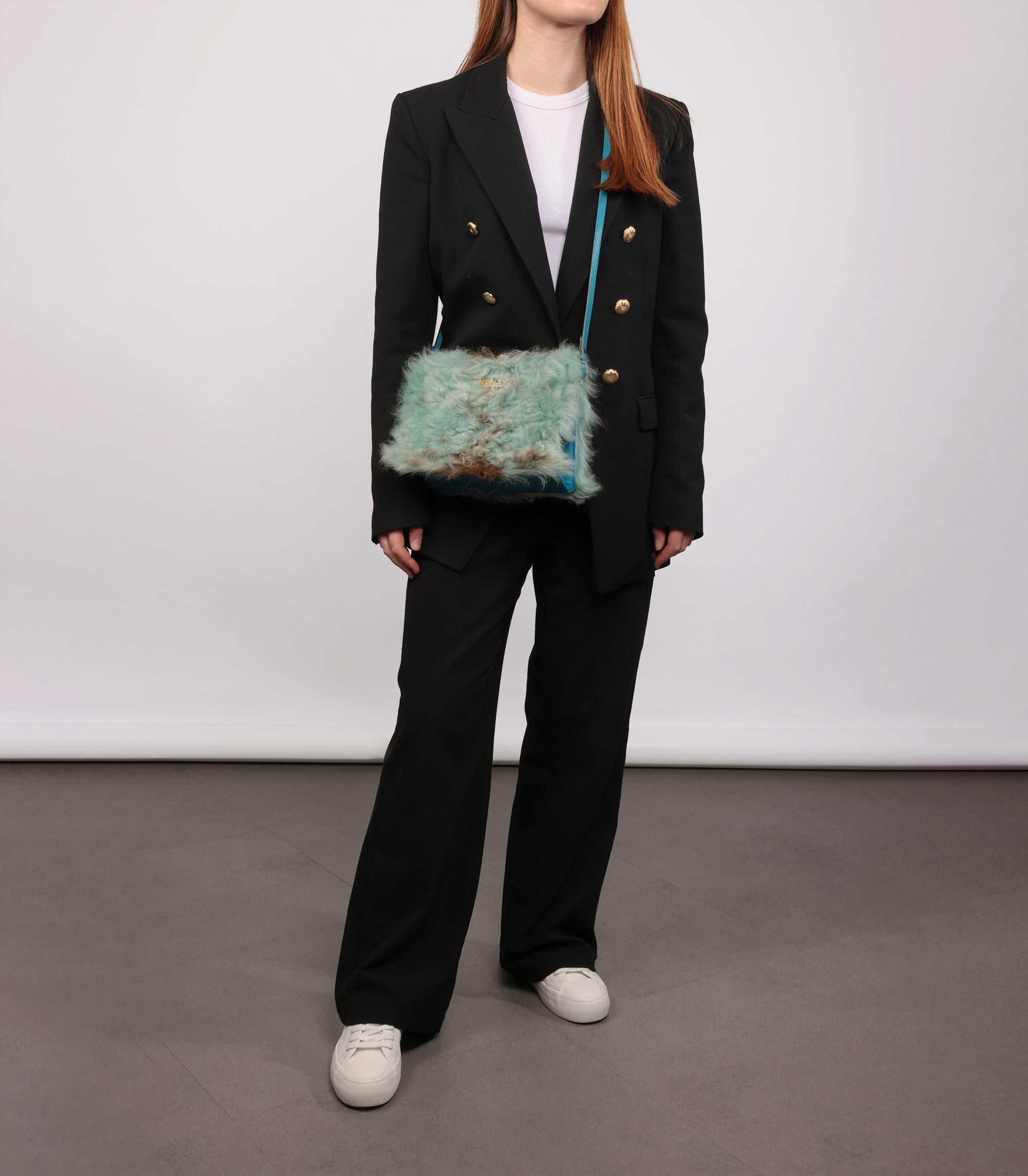 Prada Blue, Taupe Shearling & Saffiano Leather Light Frame Shoulder Bag

Product Details
Xupes Ref: CB1355
Brand: Prada
Model: Light Frame Shoulder Bag
Type: Clutch, Shoulder, Crossbody
Serial Number: 110
Accompanied By: Prada Dust Bag, Authenticity