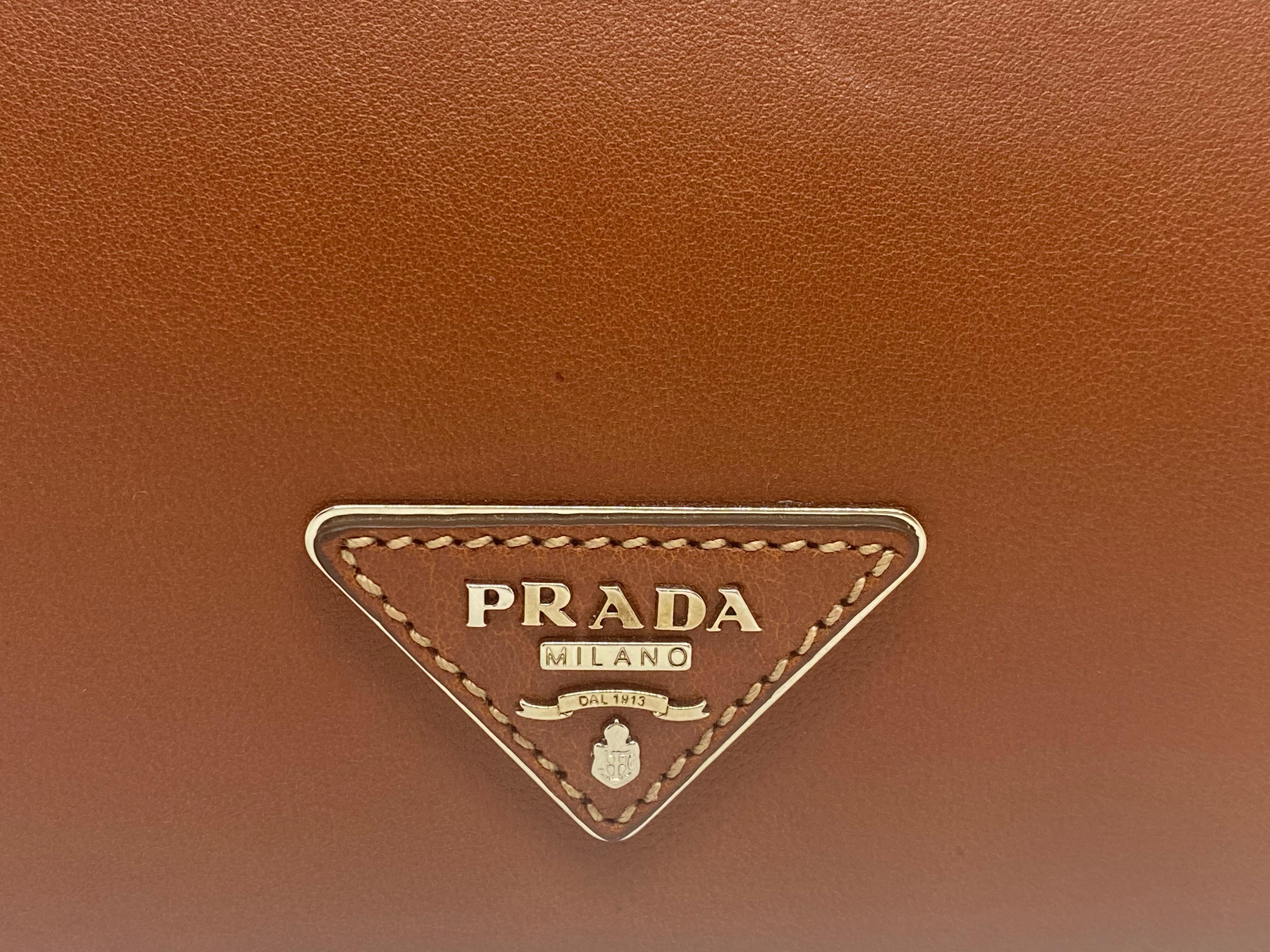 Prada Brandy City Calf Cinghiale Crossbody Flap Messenger Bag, 2011. 5