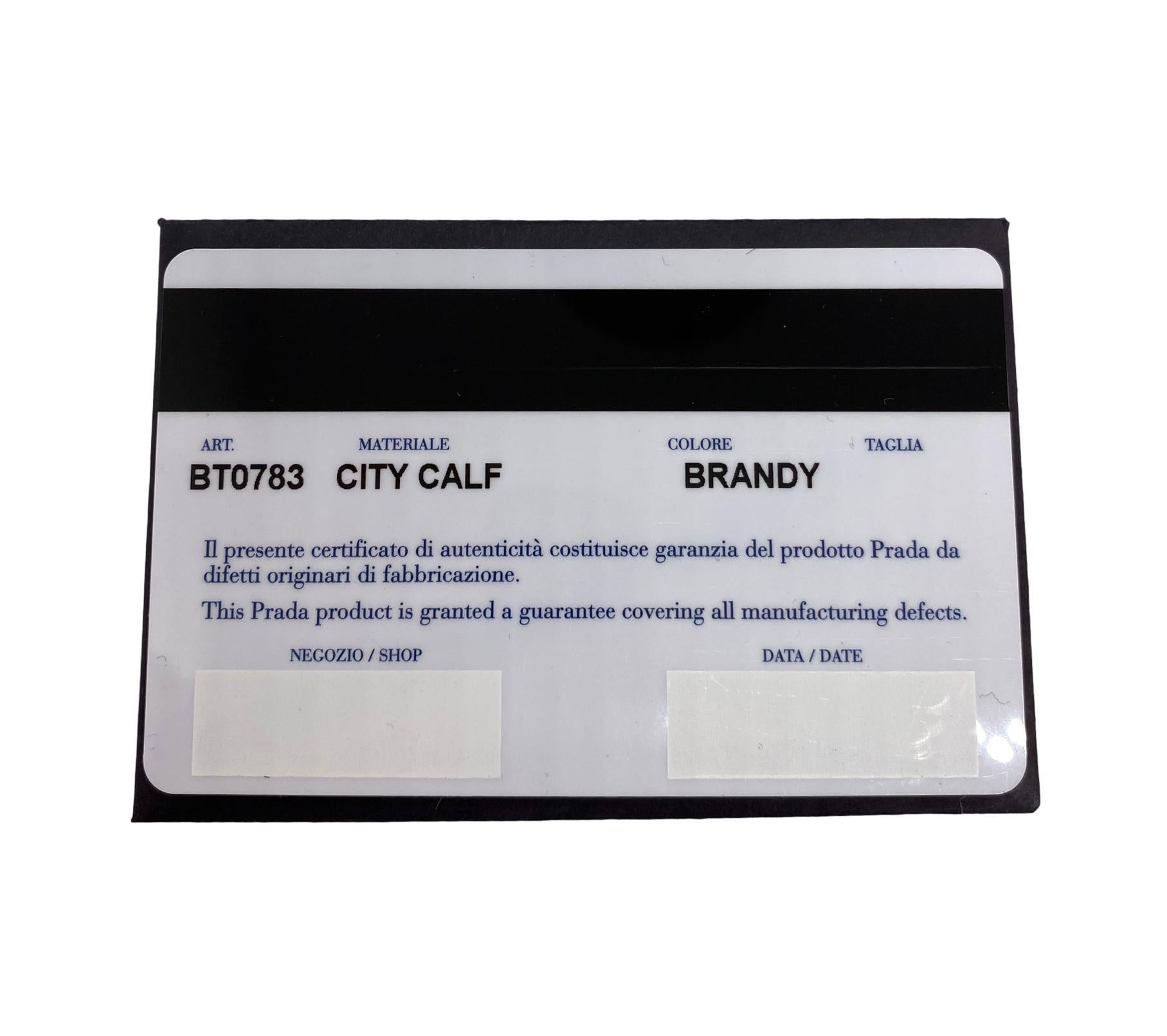 Prada Brandy City Calf Cinghiale Crossbody Flap Messenger Bag, 2011. 8
