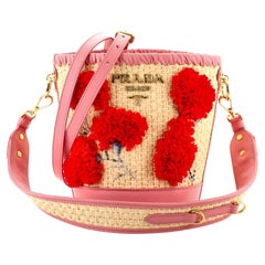 Prada Bucket Bag Woven Raffia with Leather with Applique Small