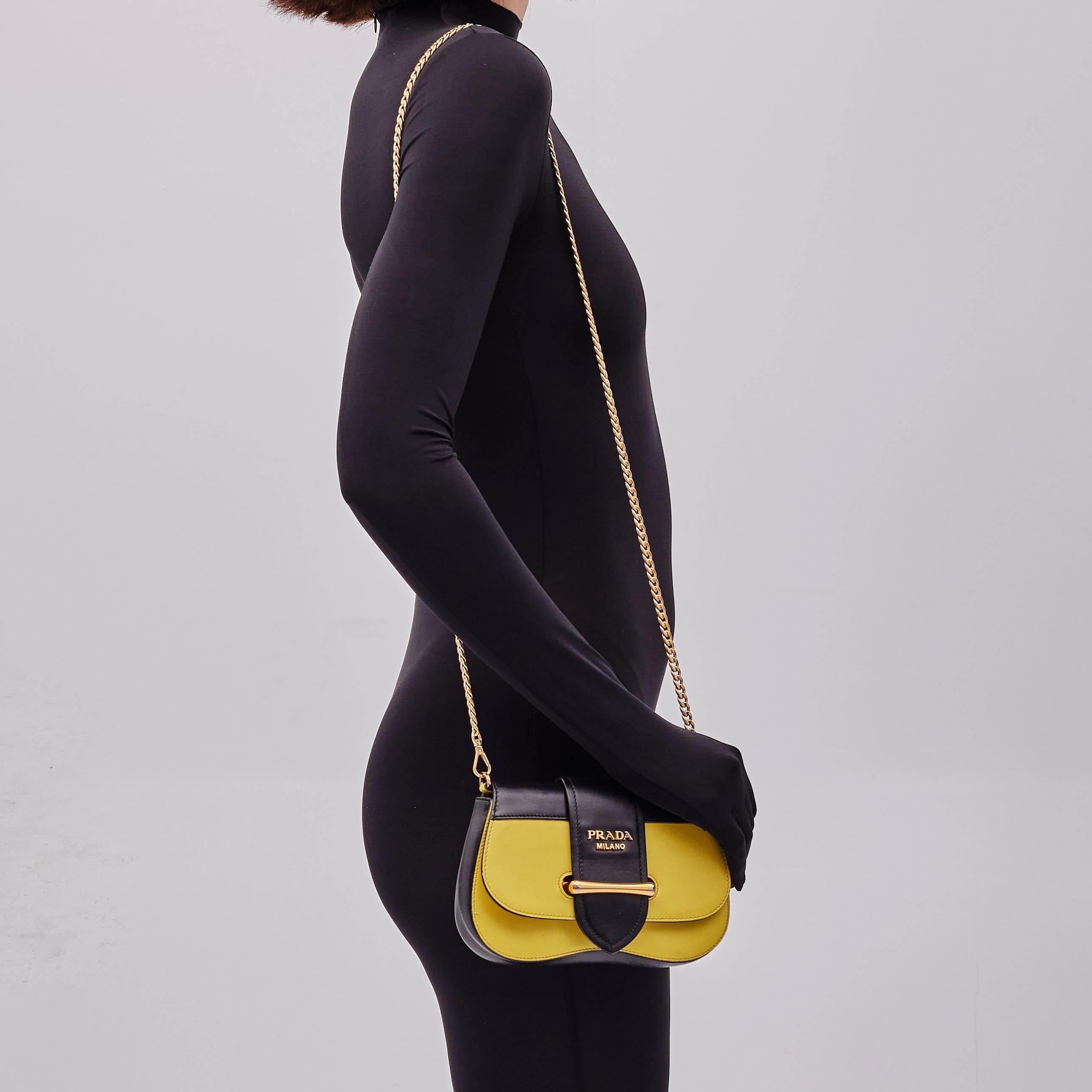 Retail.
Color: Yellow and black
Material: Calfskin leather
Made in Italy

Measurements~
Height 5”
Width 8”
Depth 2”
Chain Drop: 18”

Comes with a dust bag.
Good condition. Light scratches, marks, indentations and residue throughout. 