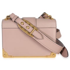 Prada Cammeo City Calfskin Saffiano Cahier Bag