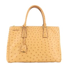 Prada Double Zip Lux Tote Ostrich Medium,