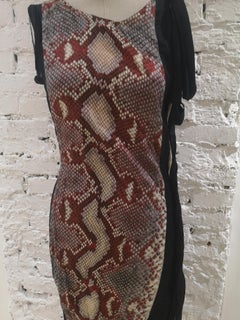Antikes Kleid der Herzogin von Prada NWOT