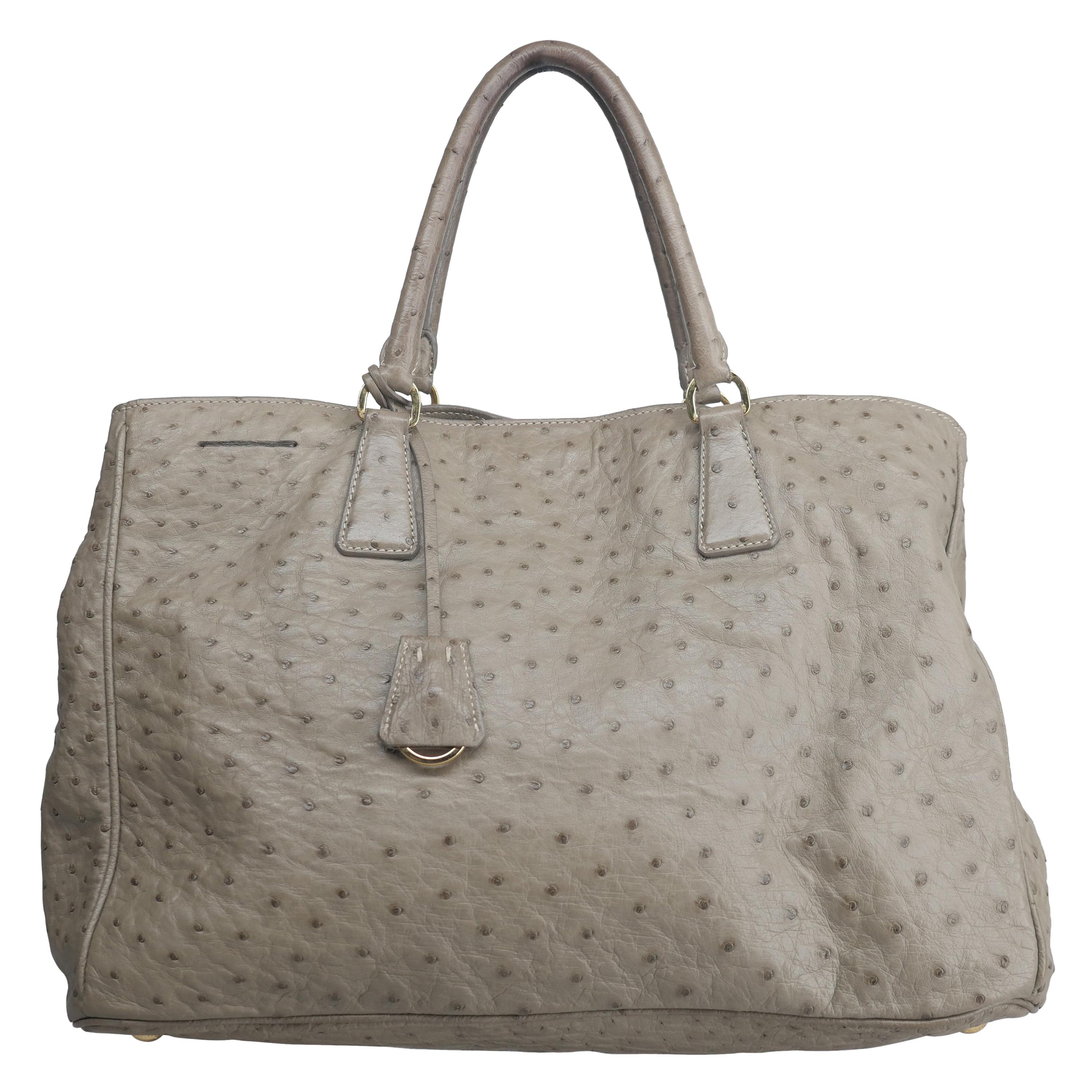 Prada Grey Ostrich Handle Bag