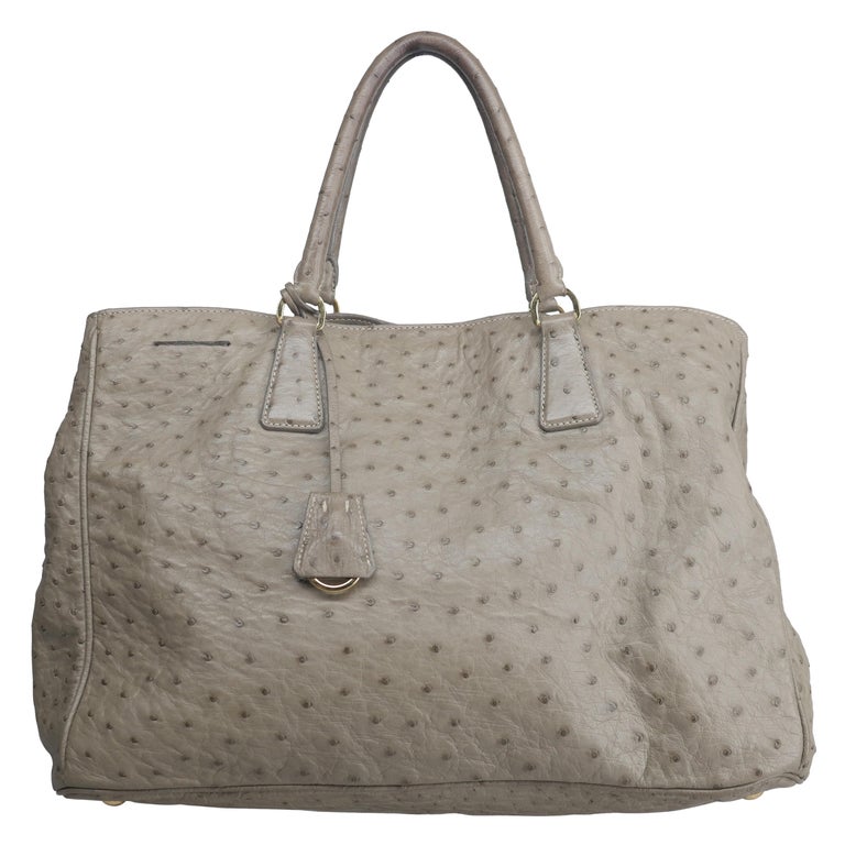 Prada Grey Ostrich Handle Bag at 1stDibs
