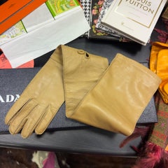 Prada – Guanti Lunghi in Nappa “Deserto” con Scatola Originale –