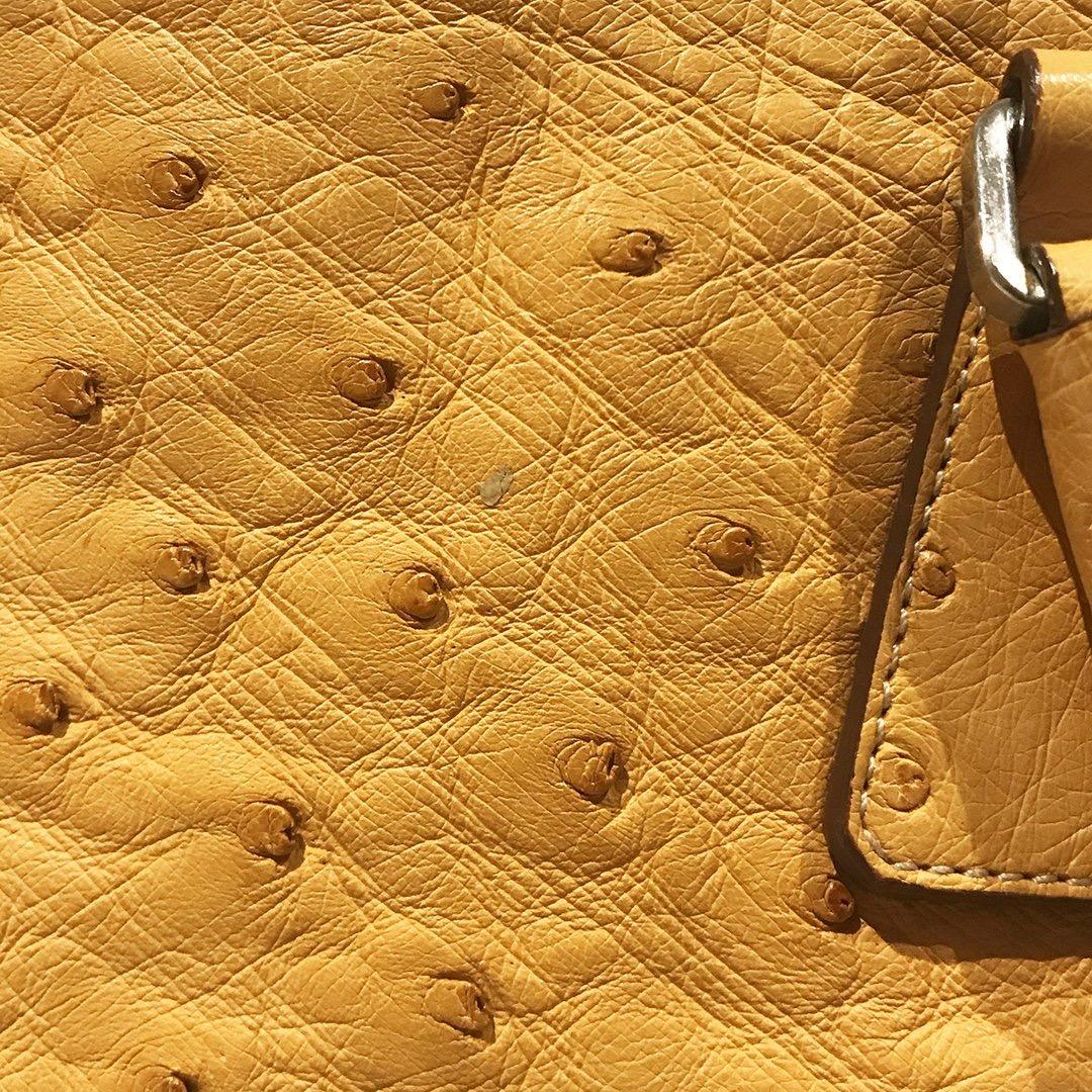 Prada Trapazoid Ostrich Leather Handbag 1