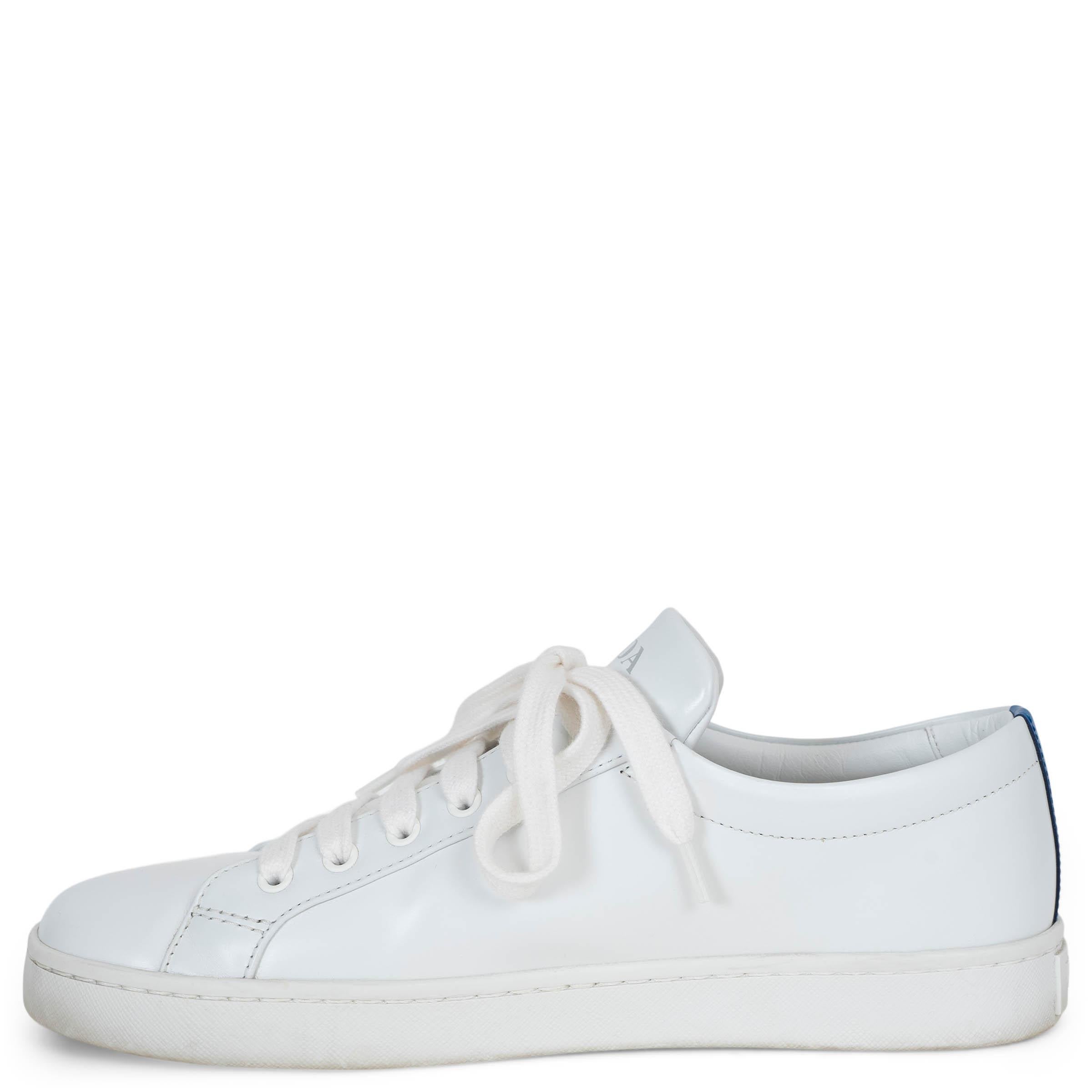 PRADA weiß & kobalt leder 2022 LANE Turnschuhe Schuhe 38 (Blau) im Angebot